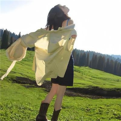 新蝶恋花 海报
