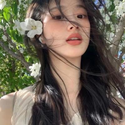 黛妃与女王 海报