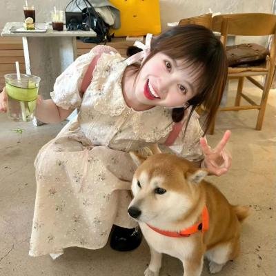 鼠洞里的好朋友 海报