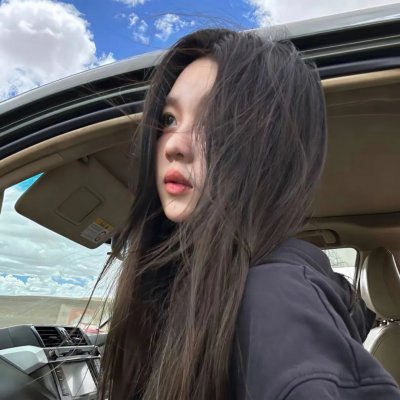 纽约鼠患 海报